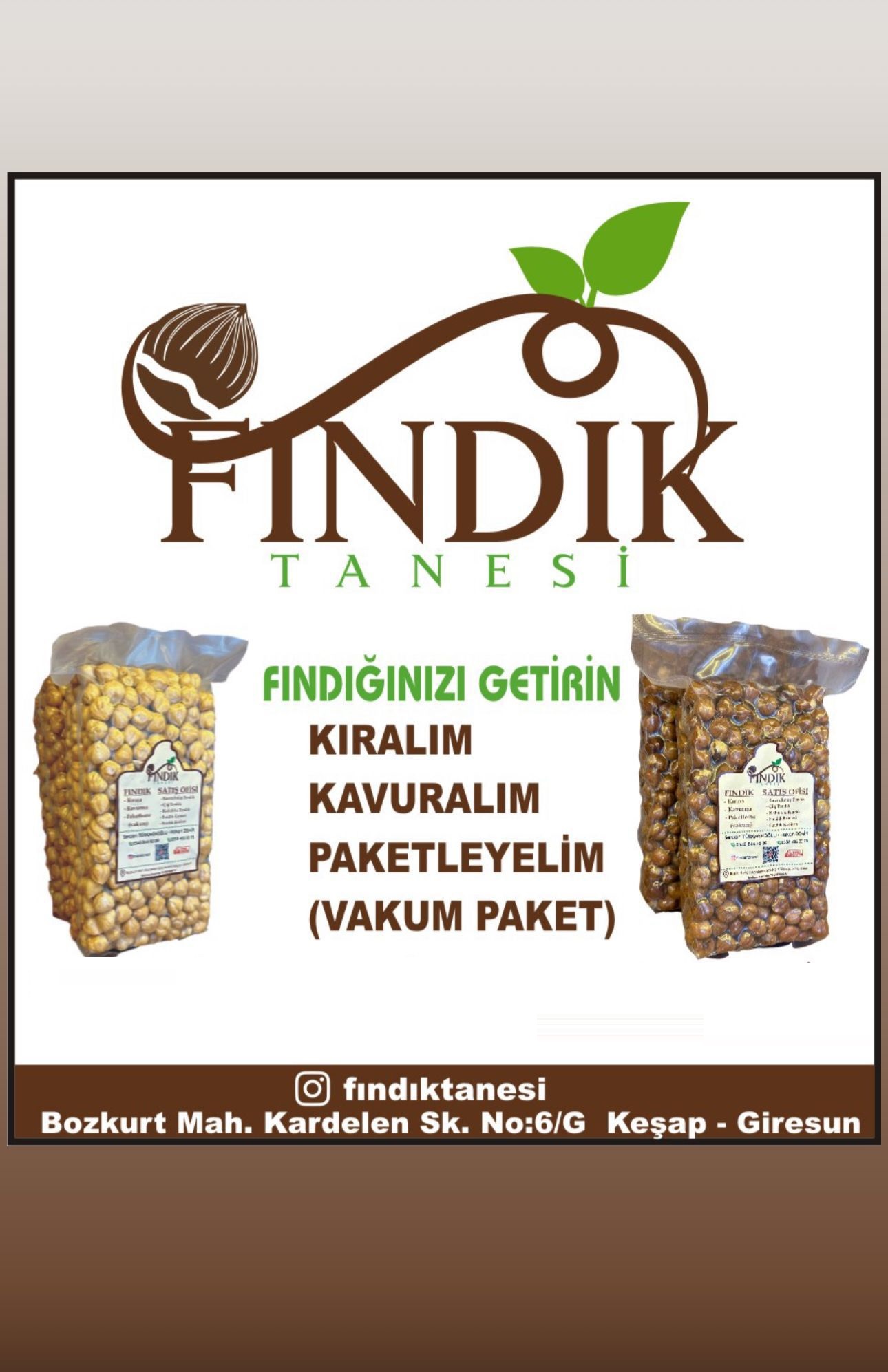 Fındık Tanesi